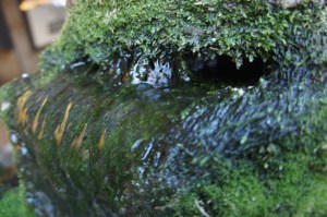 f12e9_sept8_tate_img